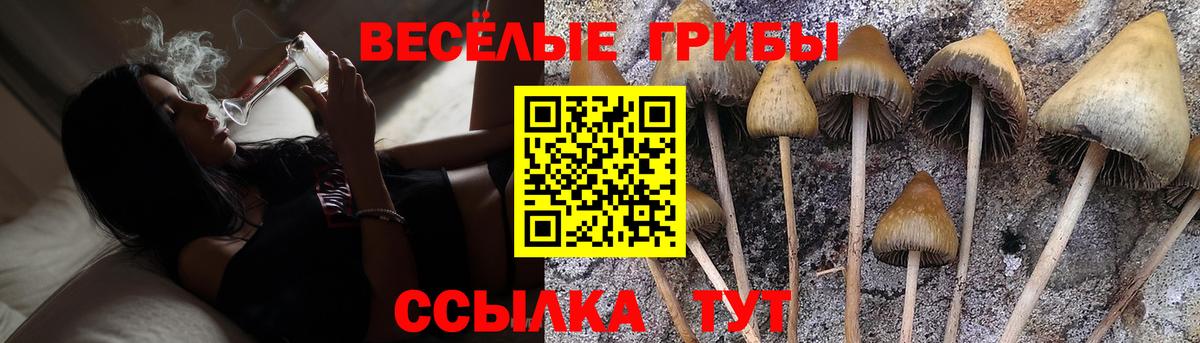 Галлюциногенные грибы прущие грибы  Вход с VPN  Губкинский 